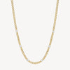 Curb Chain Necklace with Crystal Stations in Gold Plated Stainless Steel