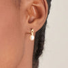 Gold Pearl Drop Stud Earrings in Sterling Silver