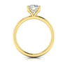 Diamond Hidden Halo Solitaire Engagement Ring in 14K Yellow Gold