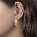 Chevron Earrings in 14K Yellow Gold